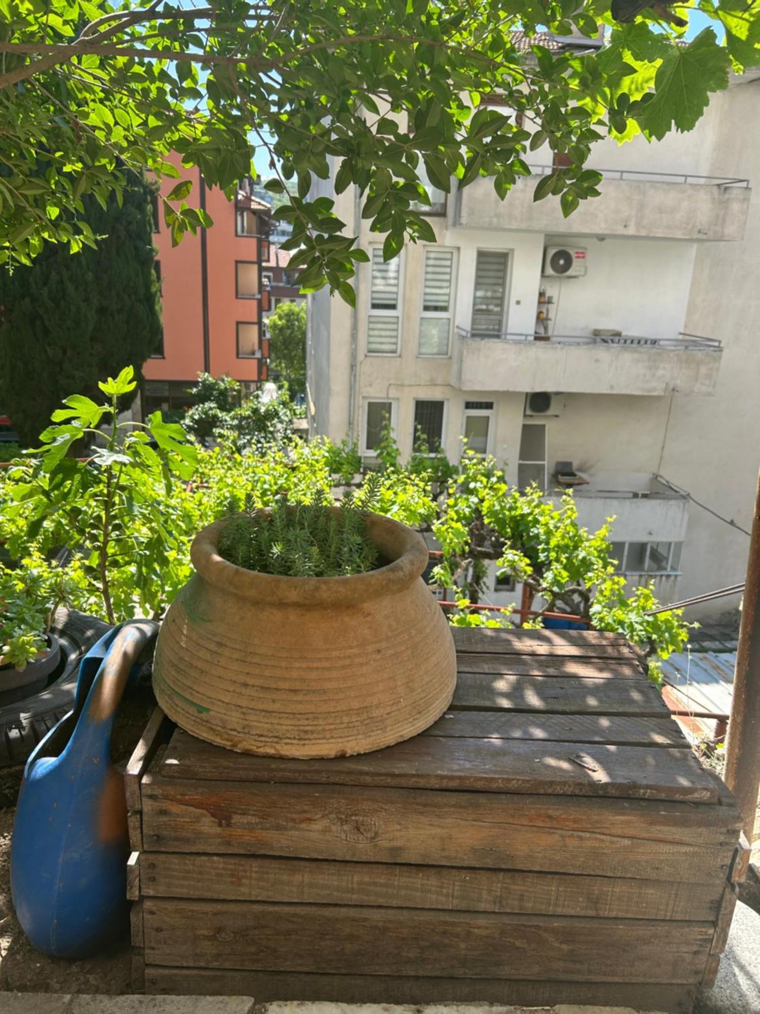Didi House Apartment Sandanski Exterior photo