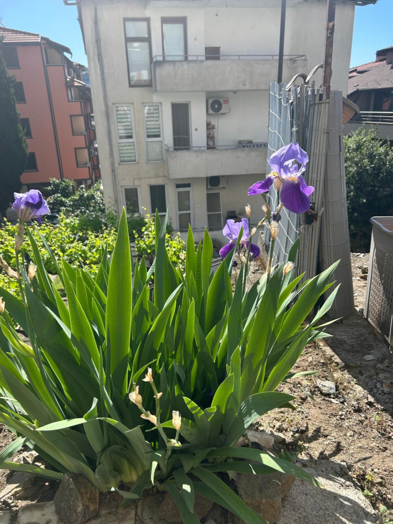 Didi House Apartment Sandanski Exterior photo